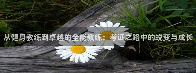 意昂4代理