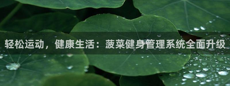 意昂4平台
