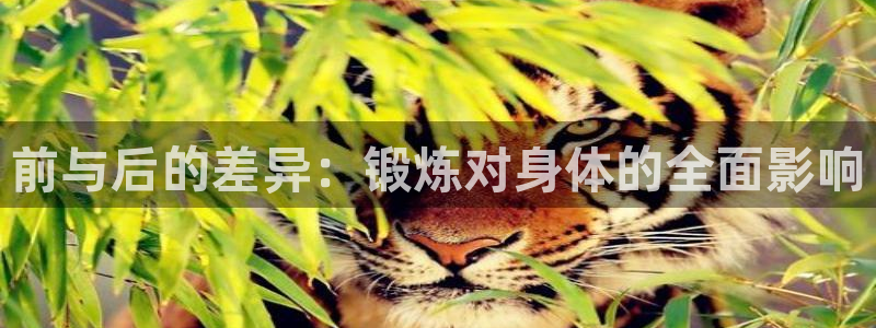 意昂4官方网站