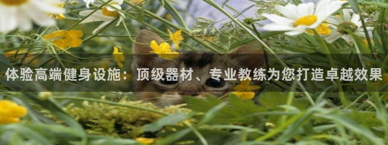 意昂4官方平台