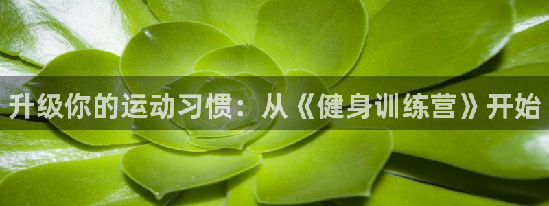 意昂4登录