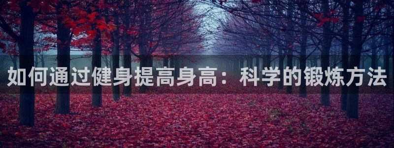 意昂4官方平台